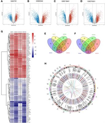 Frontiers Identification Of Ccl As An Immune Related Prognostic